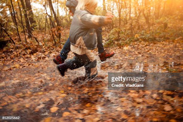 mother and child in the park - young leafs stock pictures, royalty-free photos & images