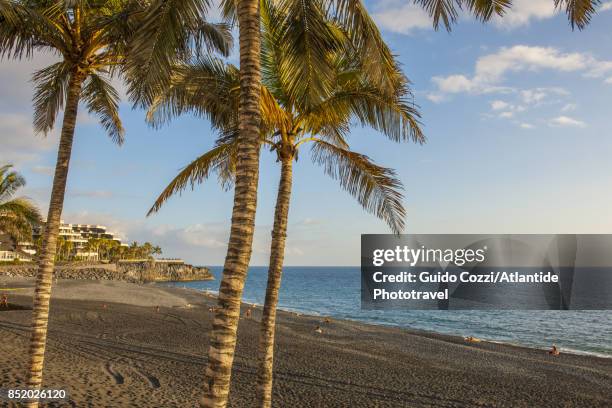 the beach of puerto naos - puerto naos stock pictures, royalty-free photos & images
