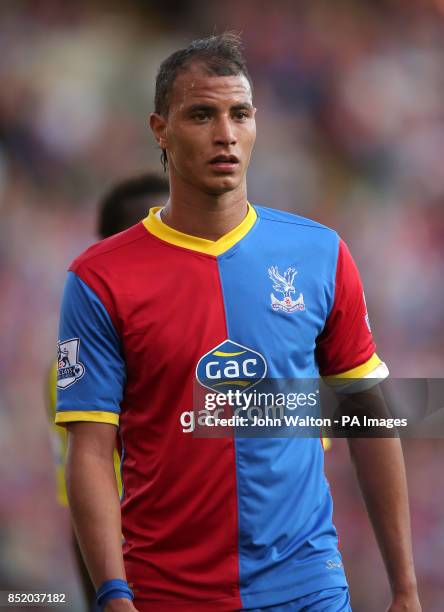 Marouane Chamakh, Crystal Palace