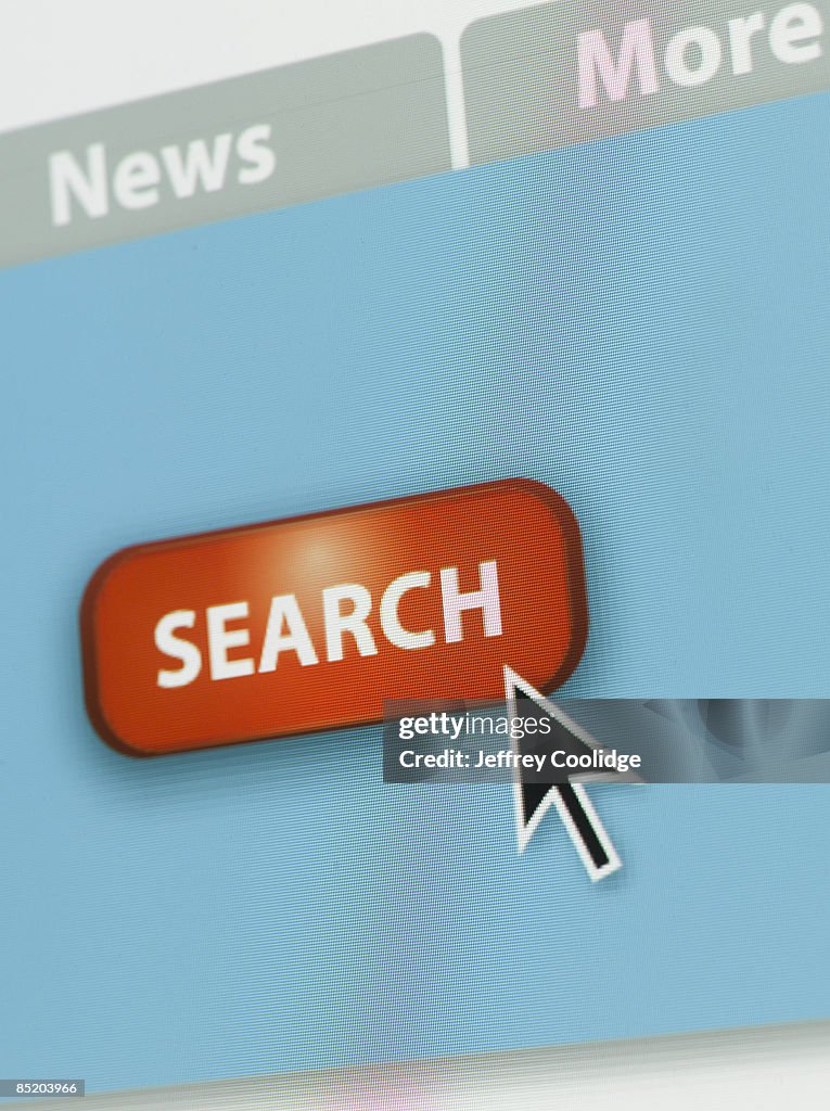 Detail of Search Screen on computer