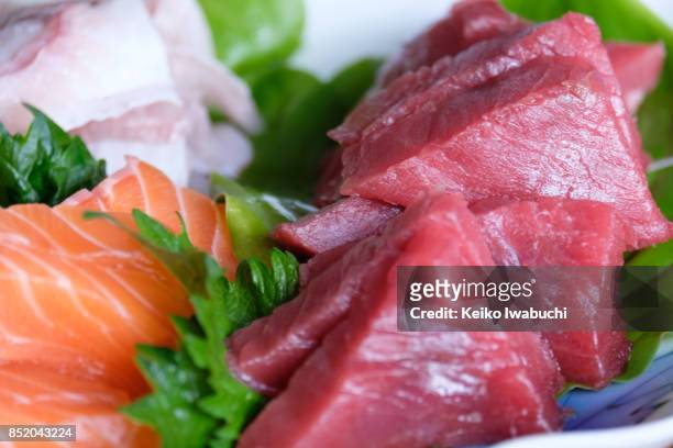 raw fish, sashimi - flounder stock pictures, royalty-free photos & images