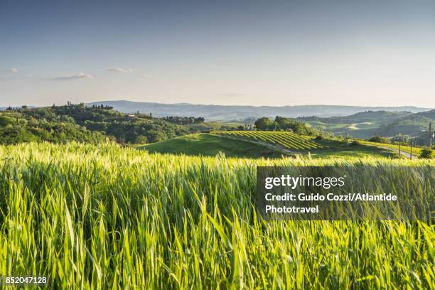 landscape near bacio - blue skies field stock pictures, royalty-free photos & images
