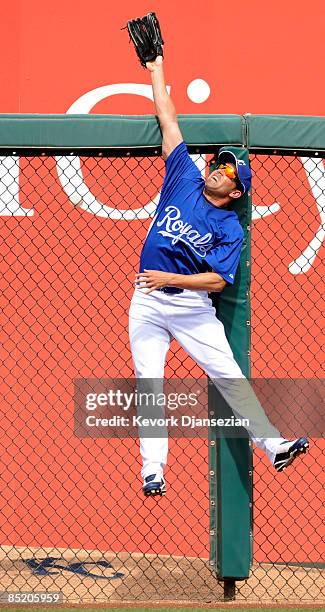 Left fielder David DeJesus of the Kansas City Royals reaches but can not catch a one -run home run by Kelly Shoppach of the Cleveland Indians during...