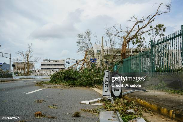 Street sign and a tree block a road and a sidewalk at the University of Puerto Rico, Rio Piedras campus, after Hurricane Maria at Ponce de Leon...