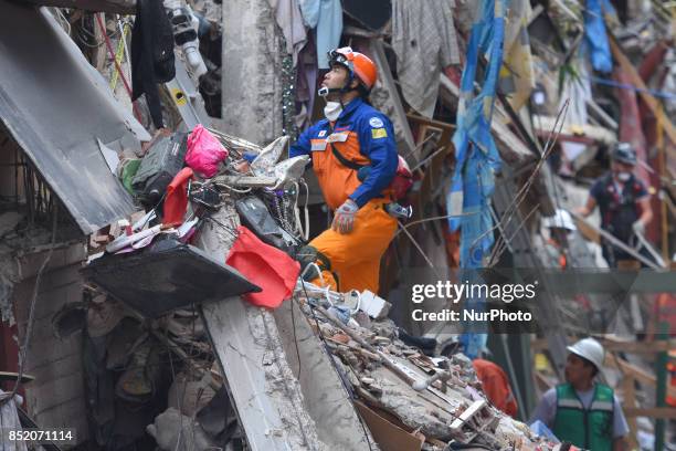 Japanese rescuers are seen during their rescue efforts in the rubble of the multi-family apartments on Tlalpan Avenida due to the earthquake that...