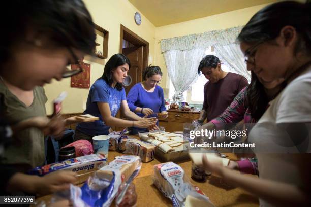 Group of 20 volunteers of UNAM and Tec de Monterrey students led by Dr. Tihui Campos, get ready to help, they have gathered every night since the day...