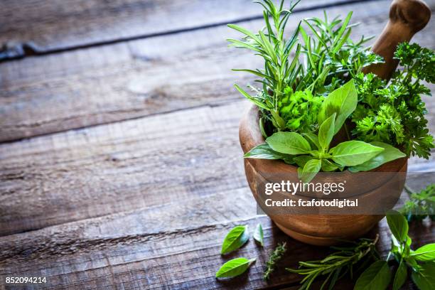 mortar and pastle with fresh herbs for cooking on rustic wooden table - herb imagens e fotografias de stock