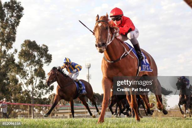 77 City Of Greater Shepparton Stock Photos, High-Res Pictures, and ...