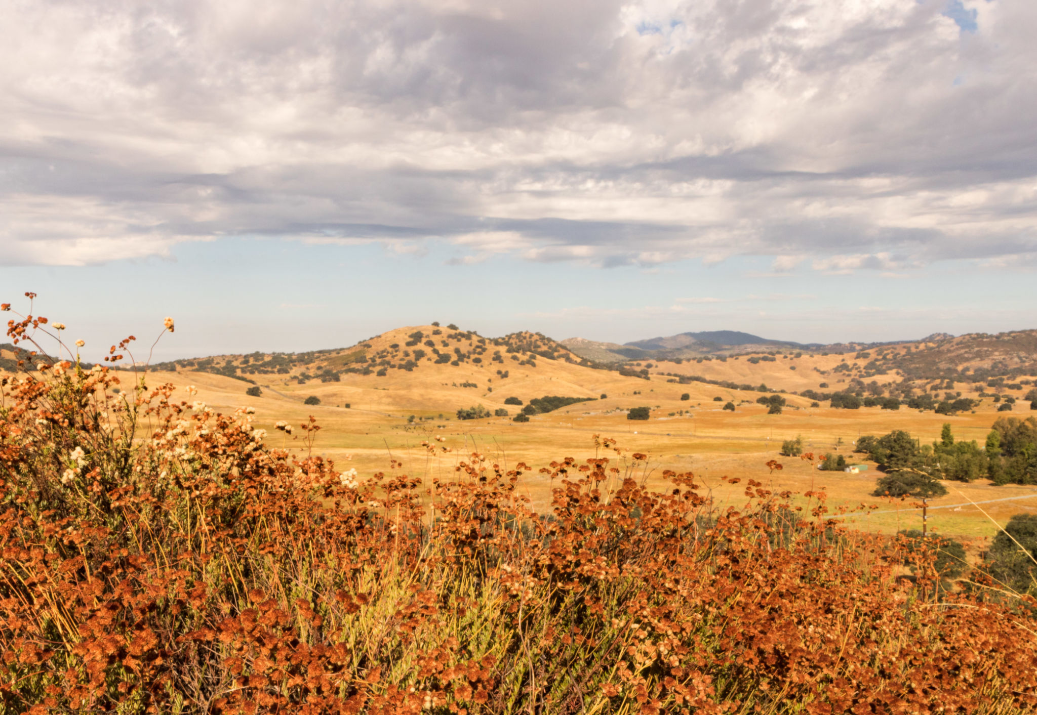 shingle springs landscape
