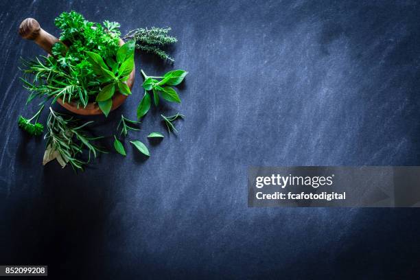 mortar and pastle with fresh herbs for cooking on dark kitchen table - fitoterapia imagens e fotografias de stock