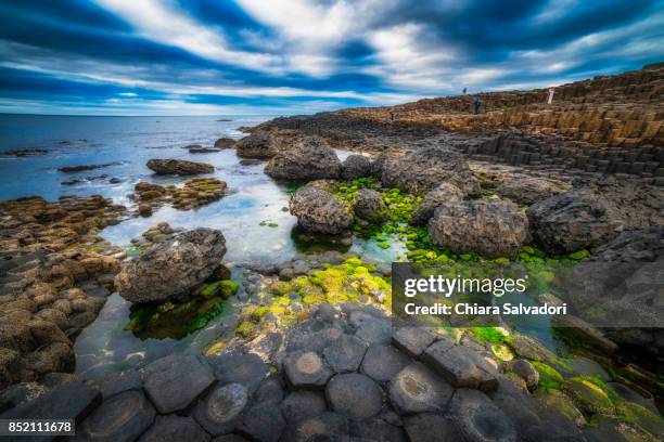 the giant's causeway - giant's causeway stock pictures, royalty-free photos & images