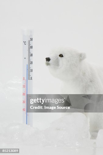 A toy polar bear ice and a thermometer A toy polar bear ice and a thermometer