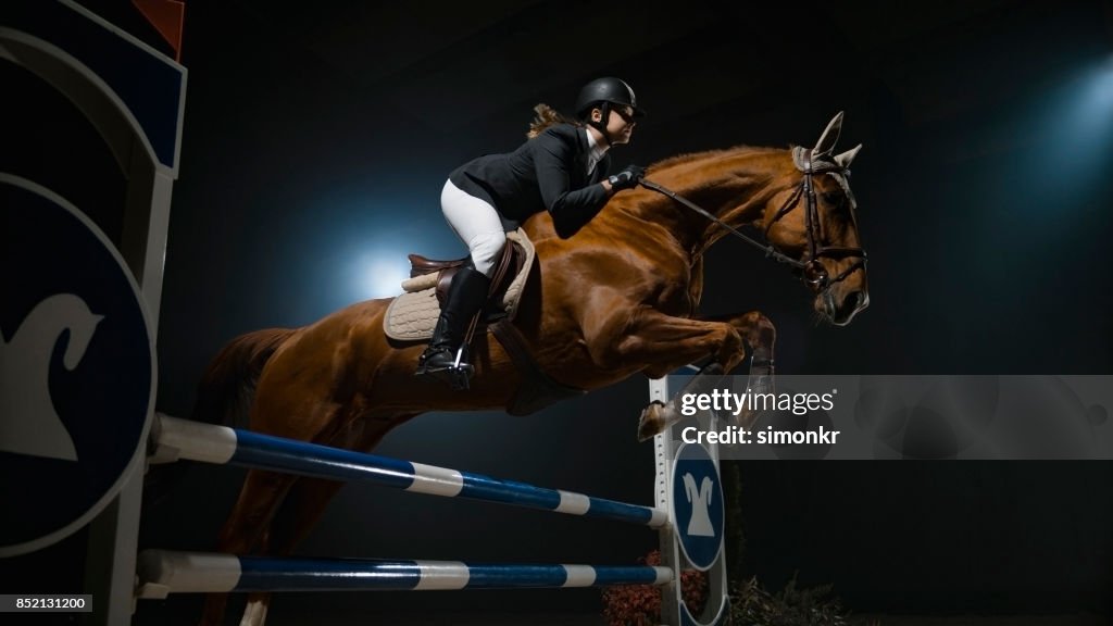 Kastanje paard en zijn ruiter springen over spoor