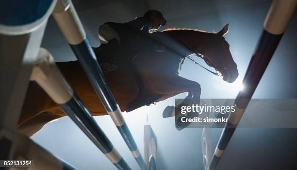 kastanie pferd und seine reiter springen über schiene - springreiten stock-fotos und bilder
