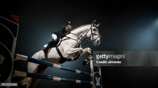 white horse jumping over rail in arena - equestrian show jumping stock pictures, royalty-free photos & images