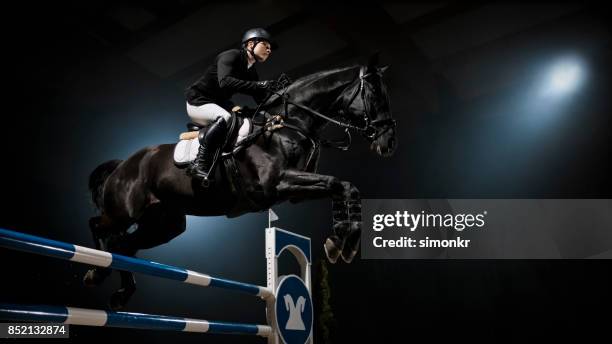 black horse jumping rail with his rider - black horse stock pictures, royalty-free photos & images