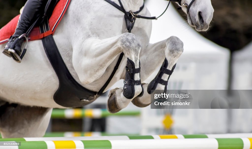 Vrouwelijke ruiter obstakel springen op kastanje paard