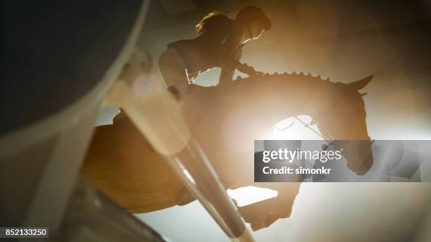 chestnut horse and it's rider jumping over rail - equestrian show jumping stock pictures, royalty-free photos & images