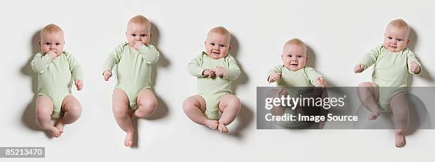 five babies - babies in a row stock pictures, royalty-free photos & images
