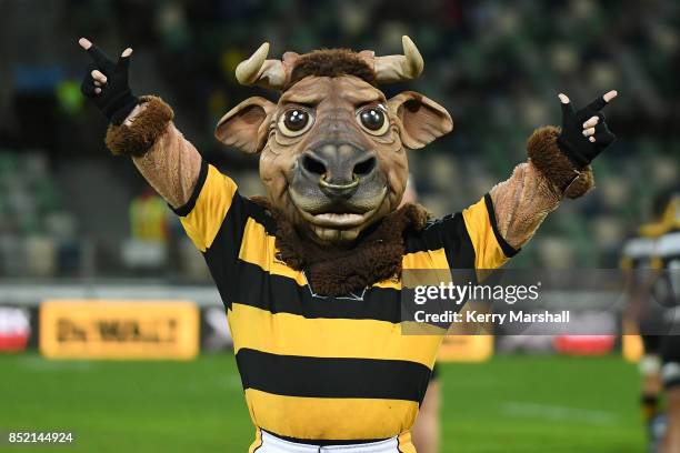 Taranaki mascot before the round six Mitre 10 Cup match between Hawke's Bay and Taranaki at McLean Park on September 23, 2017 in Napier, New Zealand.