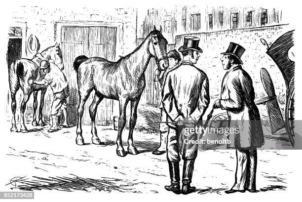 looking at the horses - man brushing stock illustrations