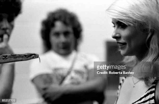 Photo of Debbie HARRY and BLONDIE; Debbie Harry with snake backstage at the Philadelphia Spectrum