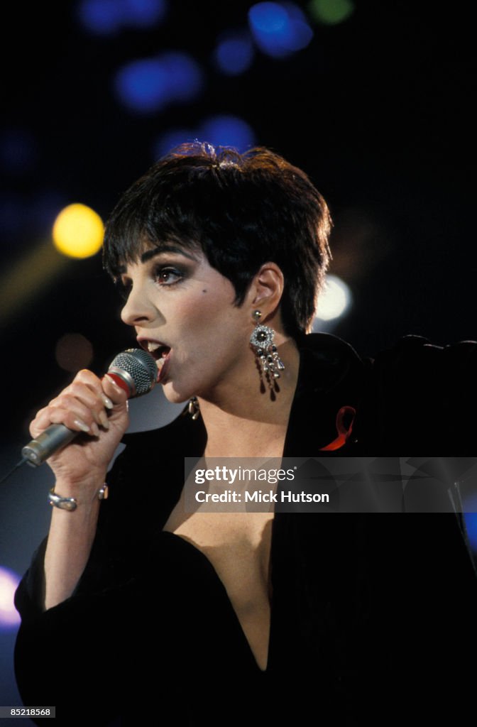 Photo of Liza MINELLI