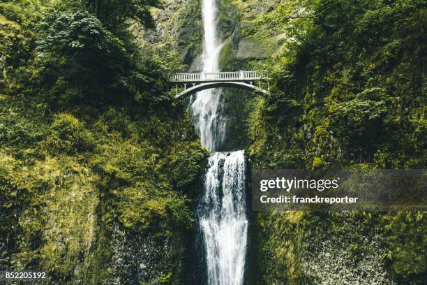 multnomah falls in oregon - columbia river gorge oregon stock pictures, royalty-free photos & images