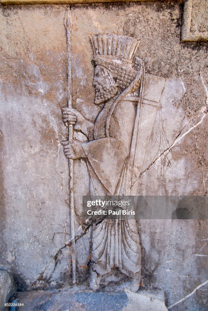 Bas-reliefs on the great staircase of Apadana Palace, Persepolis, Shiraz, Fars Province, Iran.