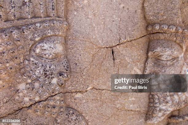 bas-reliefs on the great staircase of apadana palace, persepolis, shiraz, fars province, iran. - darius iii stock-fotos und bilder