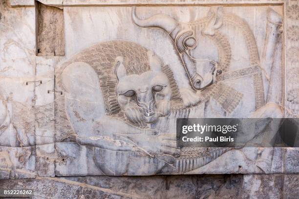 bas relief carving of lion hunting a bull in persepolis, shiraz, fars province, iran. - zoroastrianism photos et images de collection