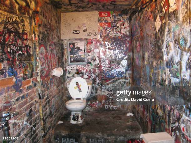 Photo of VENUES and CBGBs and BACKSTAGE and NEW YORK CITY, Backstage toilet at CBGB's, The Bowery