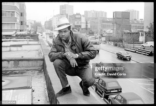 Anthony Rashawn Rouse 207 Anthony Red Rose Stock Photos, High-Res Pictures, and Images ...