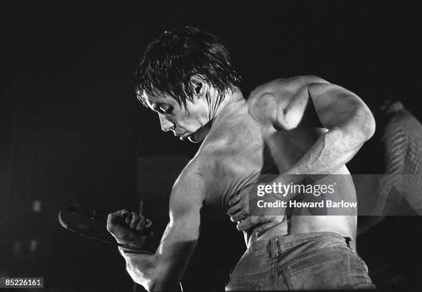 Photo of Iggy POP; live at the Apollo