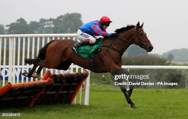 Castle Beach ridden by Richard Johnson during the Portable Toilets Ltd Selling Hurdle at Chepstow Racecourse, Chepstow.