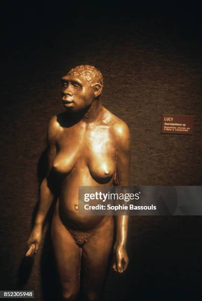 Reconstruction of what Lucy may have looked like. Discovered in 1974, Lucy was until 1995 the oldest known example of an Australopithecus afarensis...