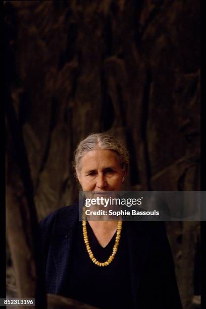 Writer Doris Lessing at the Musee Bourdelle, dedicated to sculpter Emile-Antoine Bourdelle , in Paris just after having published the French...