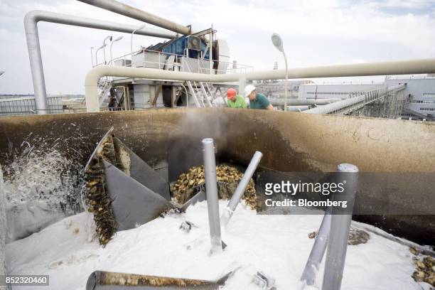 Workers monitor sugar beets as they move through a washing process at the ED&F Man Ltd. Refinery in Nikolaev, Ukraine, on Friday, Sept. 22, 2017....