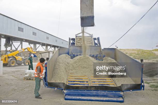 Freshly chopped sugar beet husks pour into a truck at the ED&F Man Ltd. Refinery in Nikolaev, Ukraine, on Friday, Sept. 22, 2017. More sugar is...
