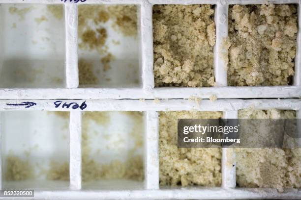 Piles of graded refined sugar sits in boxes at a lab inside the ED&F Man Ltd. Refinery in Nikolaev, Ukraine, on Friday, Sept. 22, 2017. More sugar is...