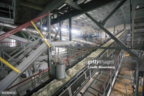 Sliced sugar beets move along the producton line at the ED&F Man Ltd. Refinery in Nikolaev, Ukraine, on Friday, Sept. 22, 2017. More sugar is coming...