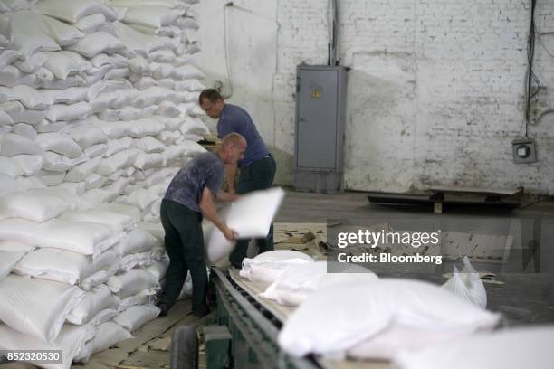 Workers load bags of refined white sugar onto an elevator at the ED&F Man Ltd. Refinery in Nikolaev, Ukraine, on Friday, Sept. 22, 2017. More...