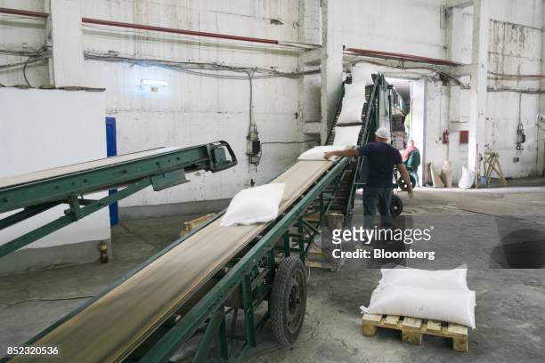 Workers load bags of refined white sugar onto an elevator at the ED&F Man Ltd. Refinery in Nikolaev, Ukraine, on Friday, Sept. 22, 2017. More...