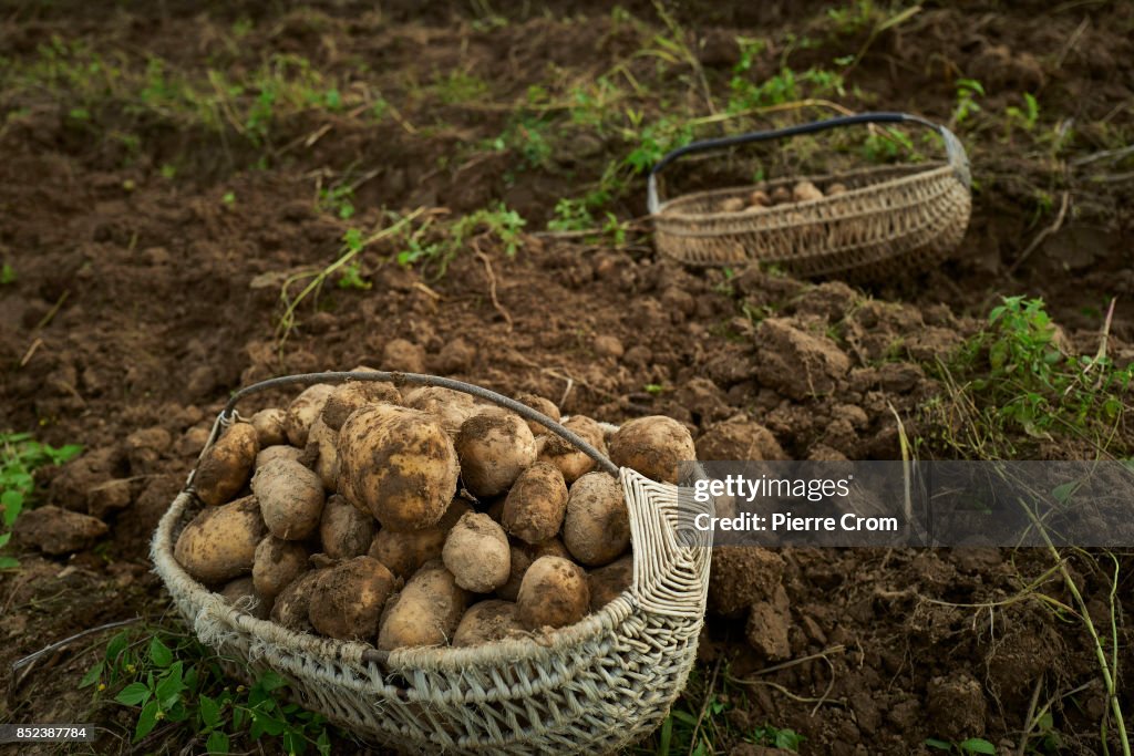 Traditional Farm in Belarus