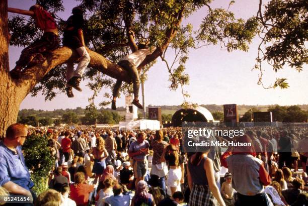 Crowds watching the main stage at Glastonbury Festival on a sunny afternoon. People sitting in tree