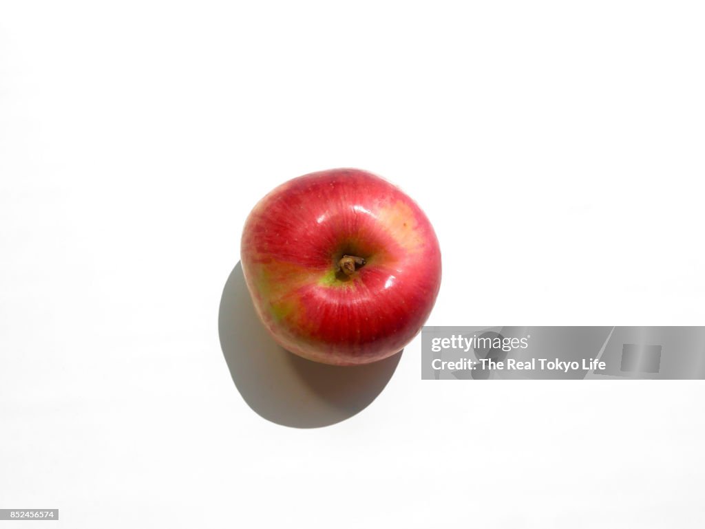 Apple in the day light bird eye