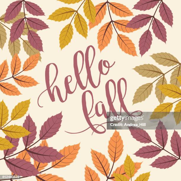 hintergrund mit walnuss herbstblätter fallen, hallo fallen text - walnuss stock-grafiken, -clipart, -cartoons und -symbole