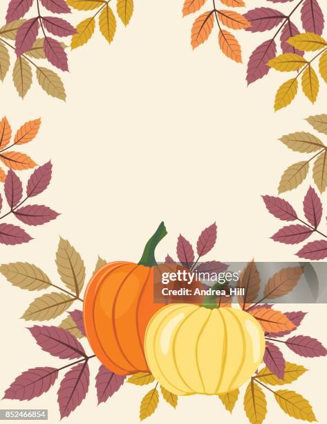 fall pumpkin background with autumn leaves and copy space - walnut tree leaf stock illustrations