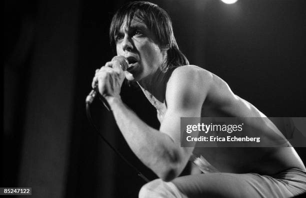 Photo of Iggy POP, circa 1980.