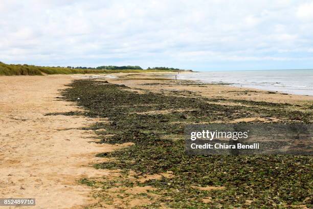 beaches of the d day - juno beach - juno beach normandy 個照片及圖片檔